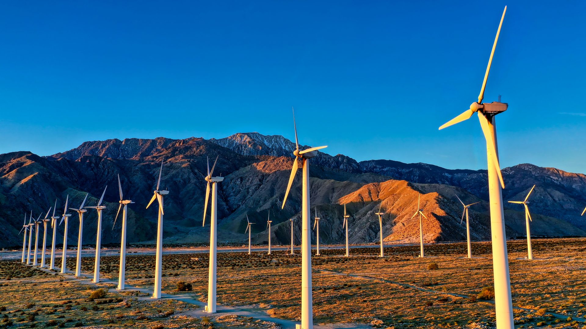a bunch of windmills in a field with mountains in the background